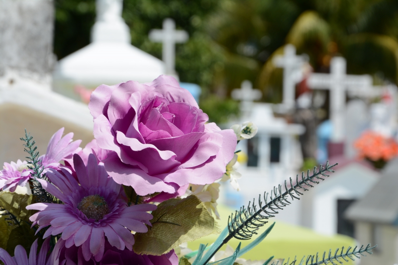 funeraire-VIDAUBAN-min_cementerio-948048