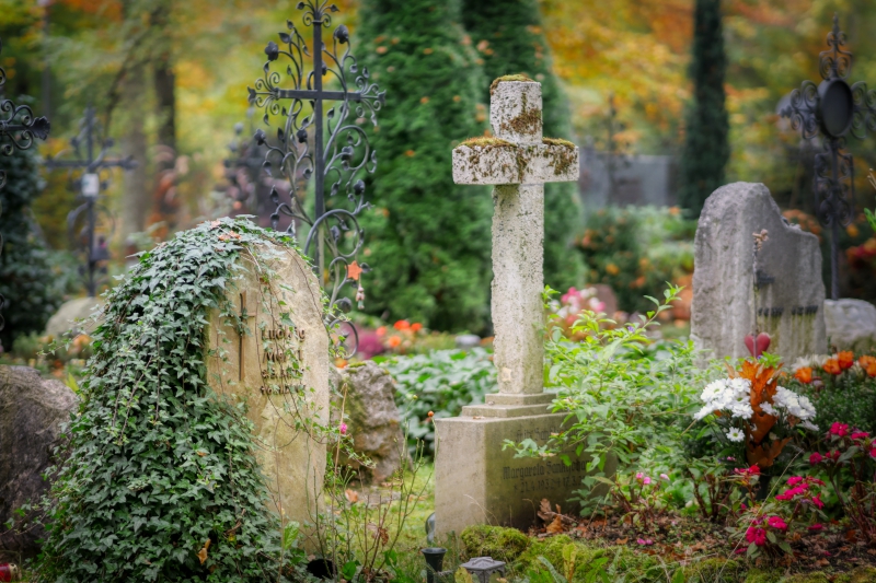 funeraire-VIDAUBAN-min_cemetery-4653166